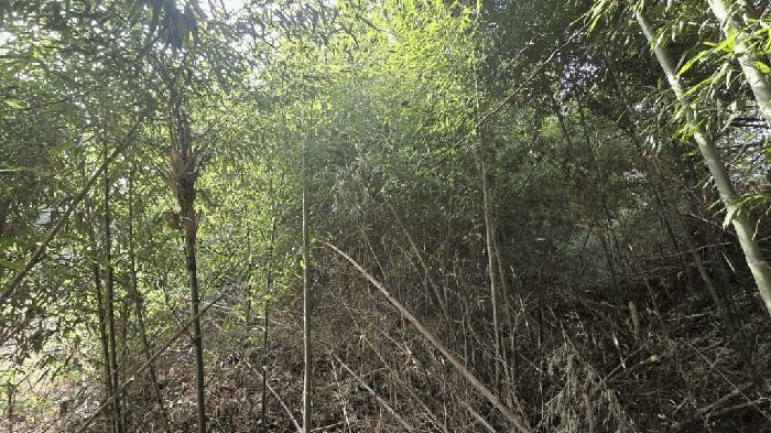 본건 일부 전경