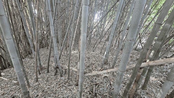 본건 일부 전경