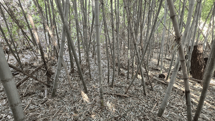 본건 일부 전경