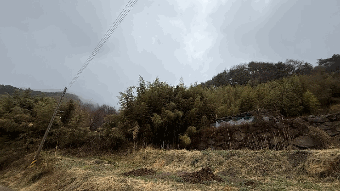 일련번호 6)