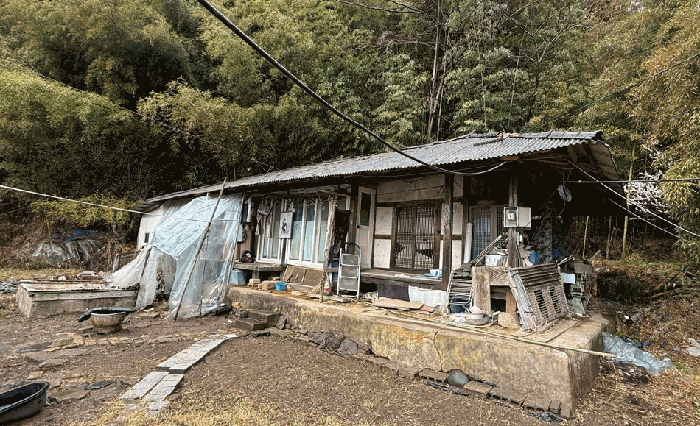 일련번호 9)