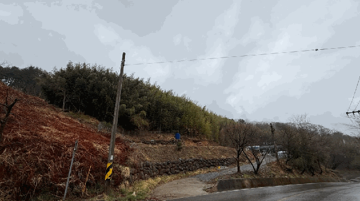 일련번호 11)