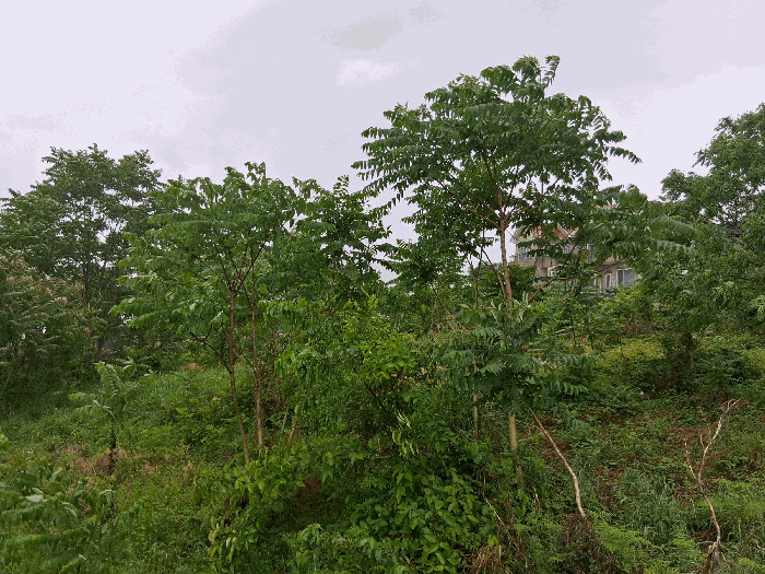 일련번호(2)