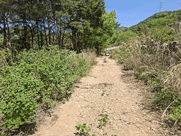 본건 진입 부분