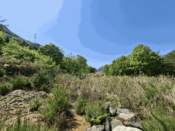 기호(1)