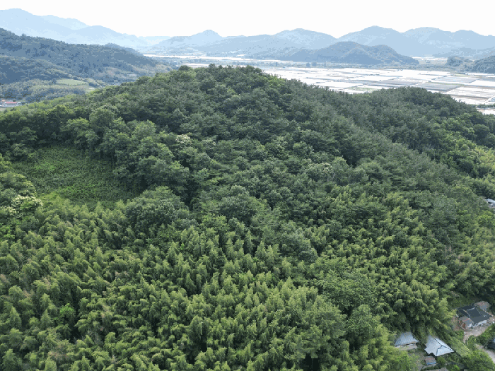 일련번호(4)
