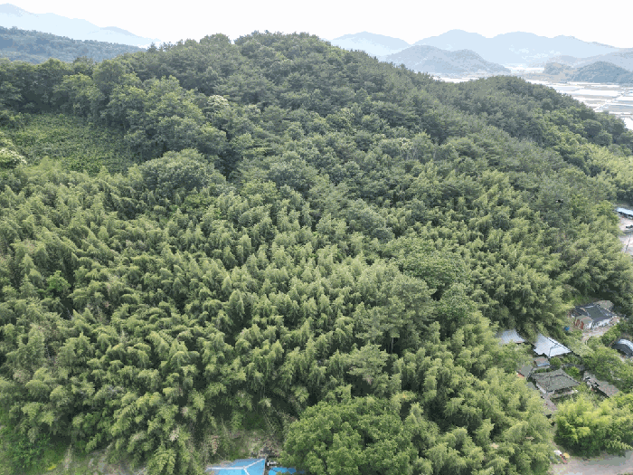 일련번호(4)