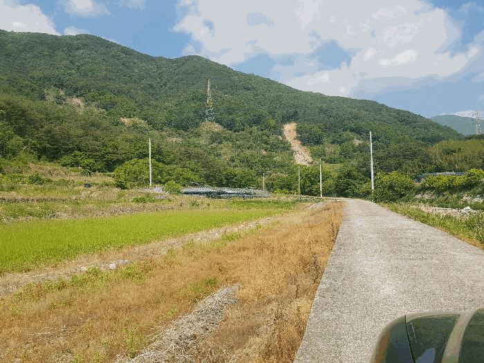 본건 토지 전체 전경