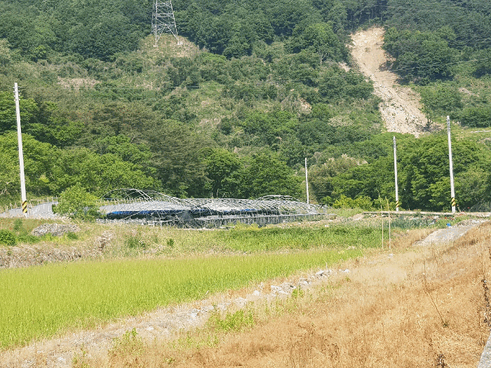 본건 토지 전경