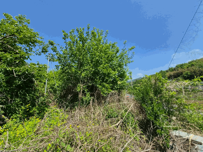 일련번호2) 전경