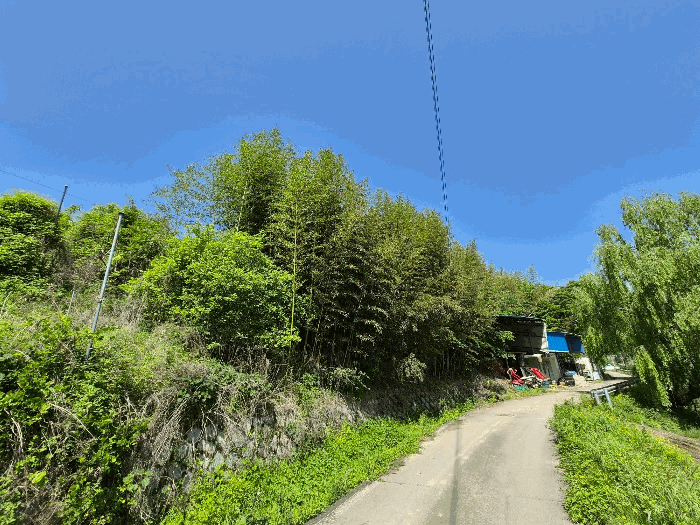 일련번호1) 전경