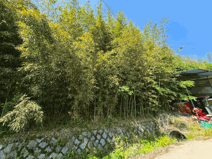 일련번호1) 전경