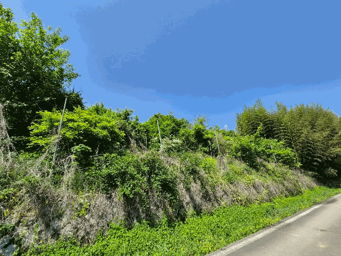 일련번호2) 전경