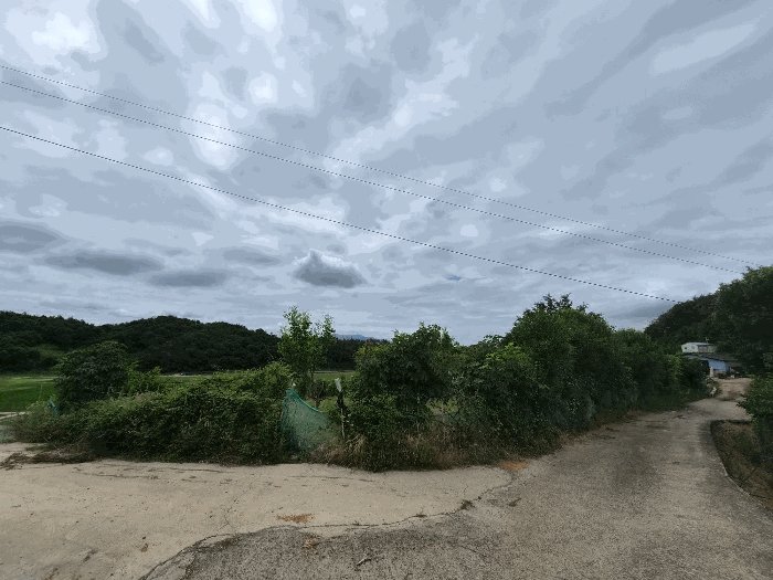 일련번호1) 전경