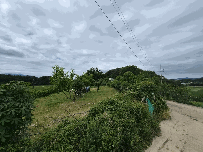 일련번호1) 전경