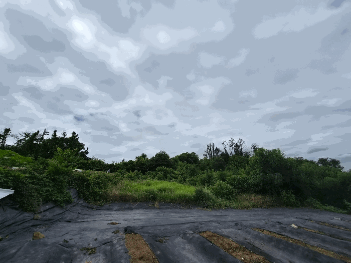 일련번호3) 전경