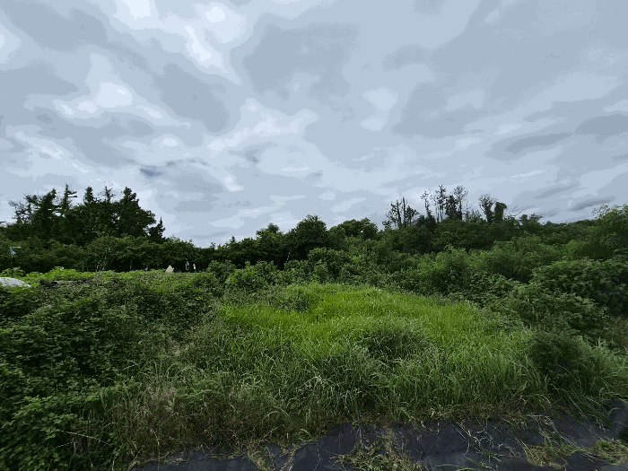 일련번호3) 전경