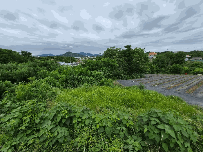 일련번호3) 전경