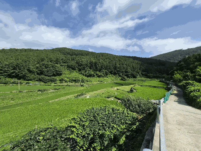 주변전경