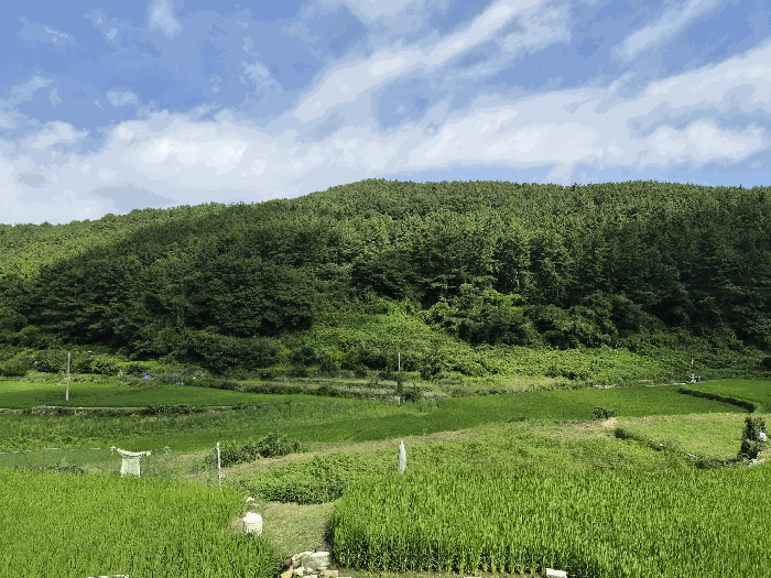 주변전경