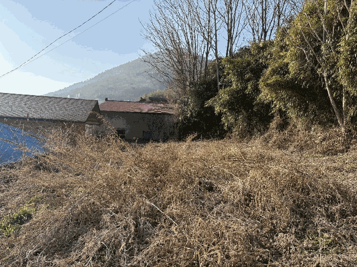 본건 전경