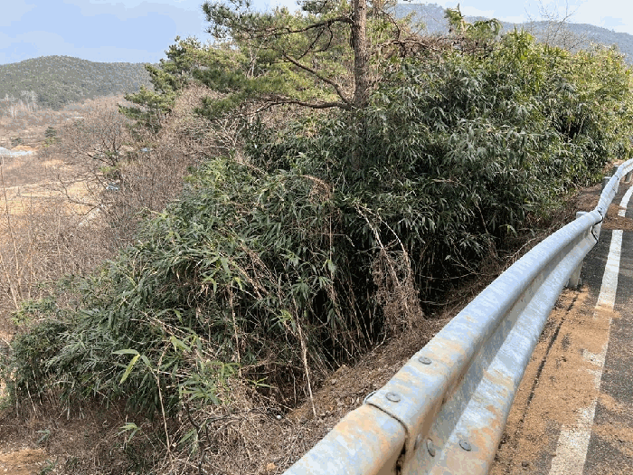 본건 전경