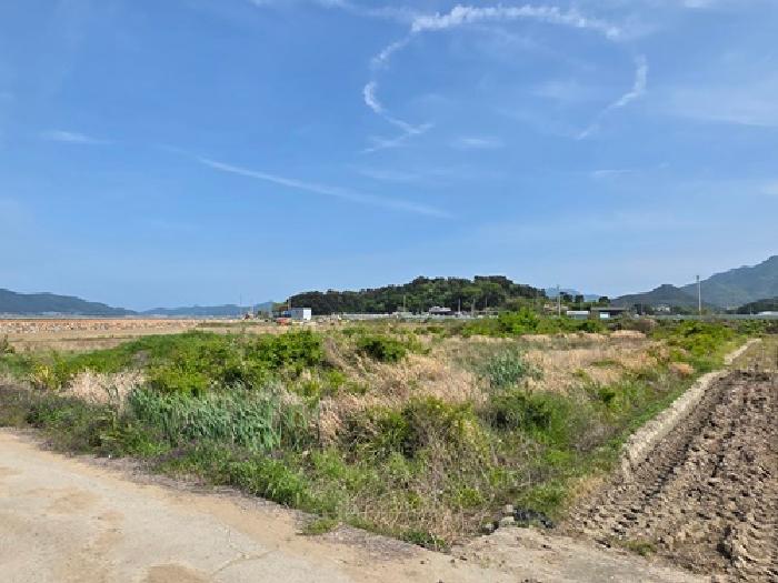 전경 사진