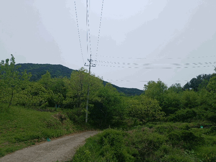 기호 4 주변전경