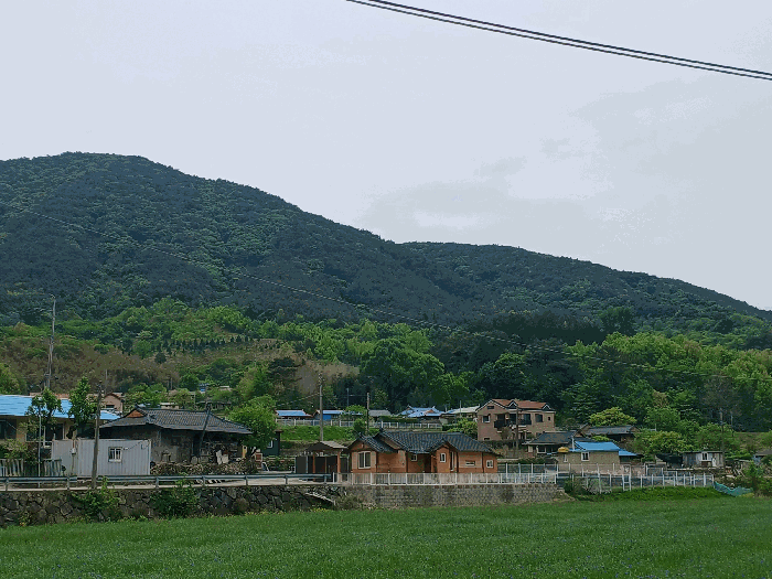 기호 4 주변전경