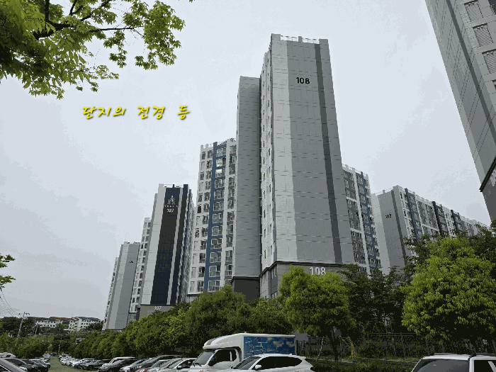 본건이 속한 아파트 단지의 전경
남서측에서 북동측을 향하여 촬영