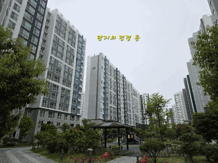 본건이 속한 아파트 단지의 전경
서측에서 동측을 향하여 촬영