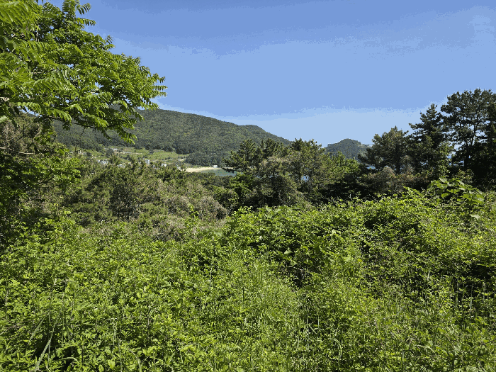 본건 기호(1)