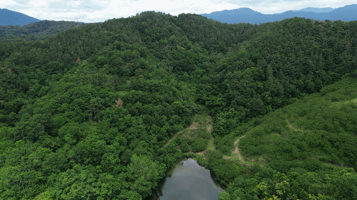 인근전경