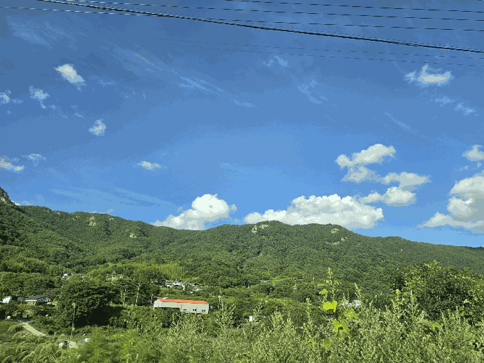 본건 주위환경