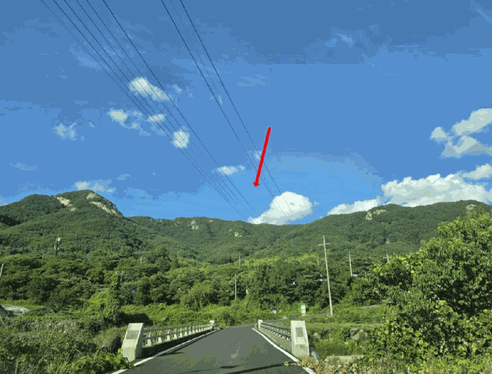 본건 기호(1)