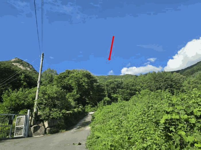 본건 기호(1)