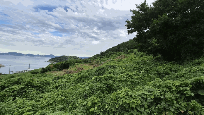평가건 전체전경