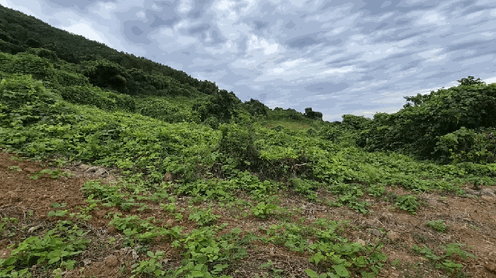 일련번호(4) 전경