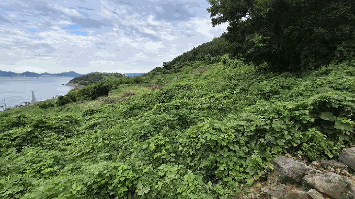 일련번호(5) 전경