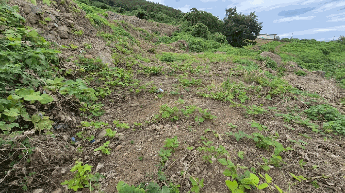 일련번호(6) 전경