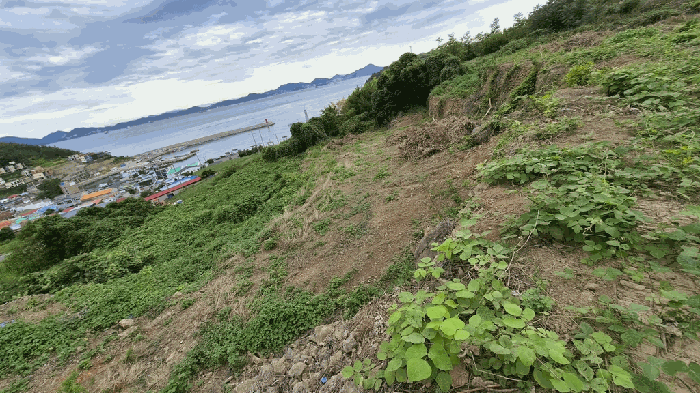 일련번호(8) 전경