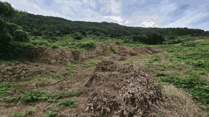 일련번호(8) 전경