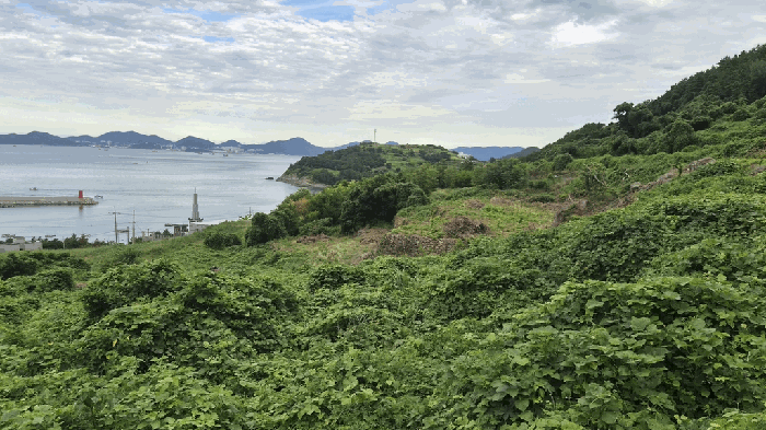 일련번호(6)~(8) 전경