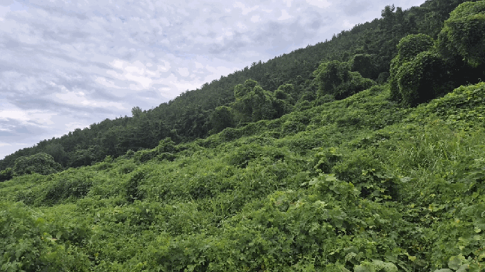 일련번호(9) 전경