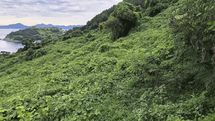 일련번호(1) 전경