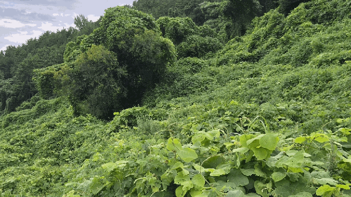 일련번호(2) 전경