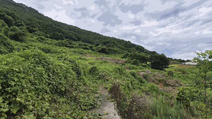 일련번호(3) 전경