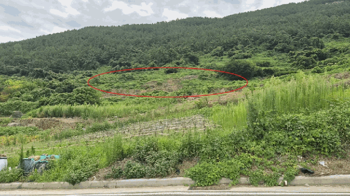 평가건 전체전경