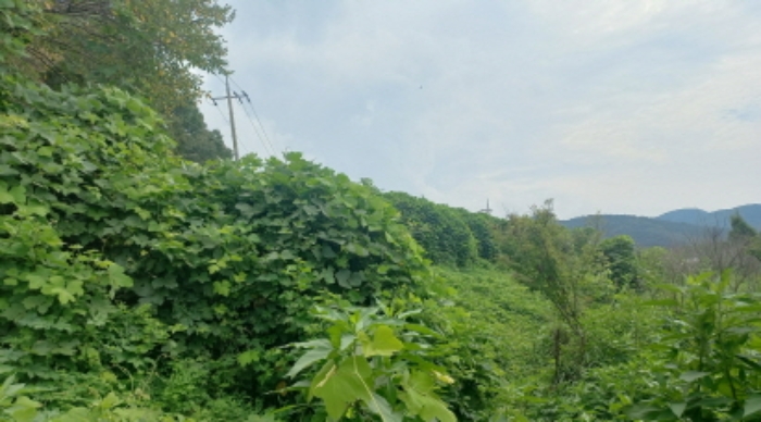 목록 2