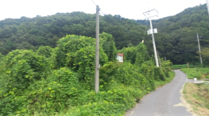 목록 3 및 수목